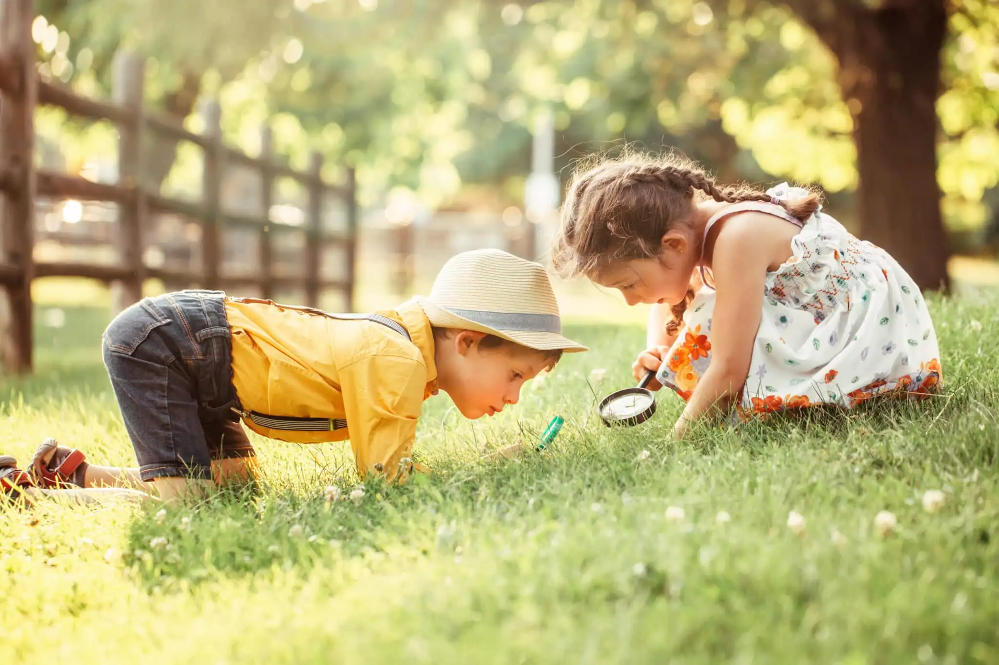 Children study nature, thereby developing their curiosity and attention to details