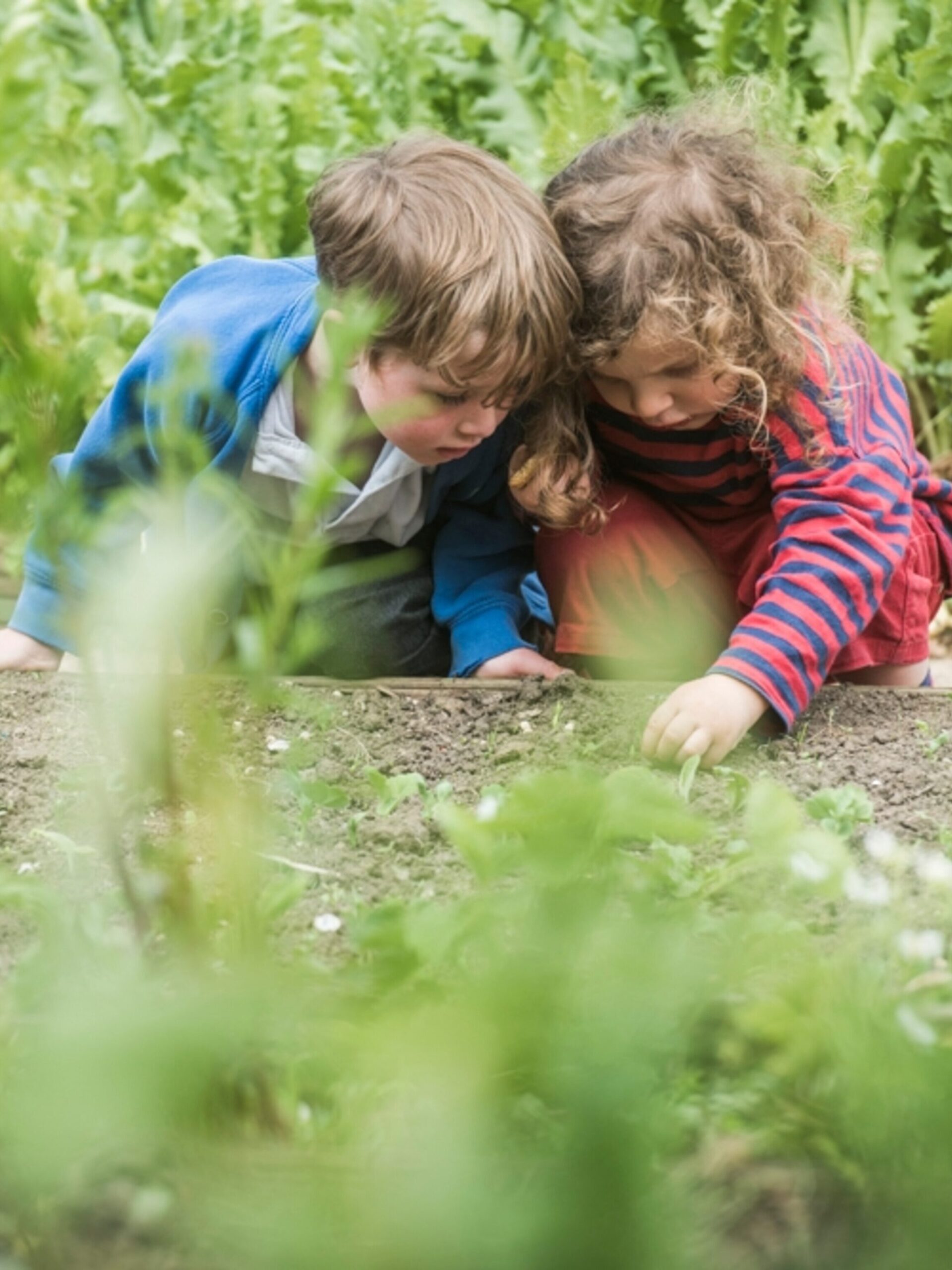 Learning about nature together with friends helps children to work in a team