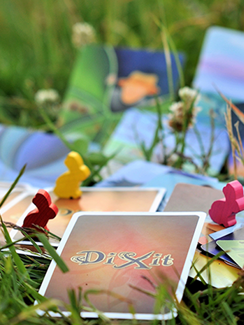 Dixit game for family